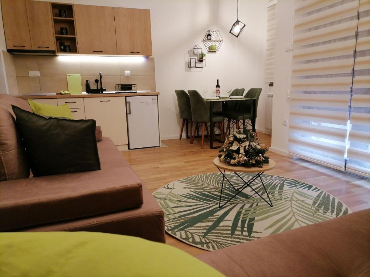 Apartman Pahuljica Tara 卡鲁德杰尔斯科巴尔 外观 照片