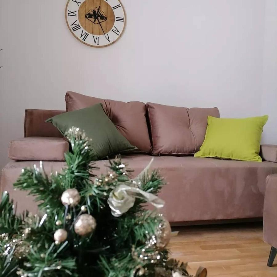 Apartman Pahuljica Tara 卡鲁德杰尔斯科巴尔 外观 照片