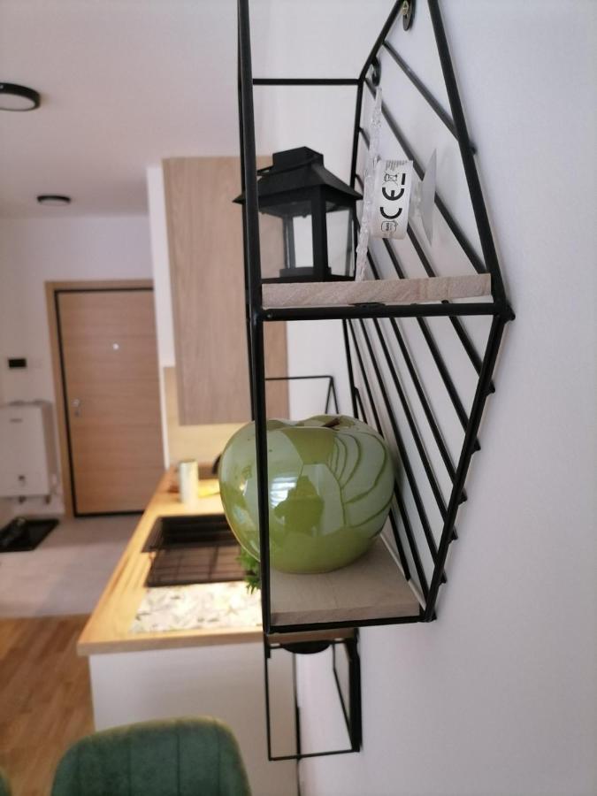 Apartman Pahuljica Tara 卡鲁德杰尔斯科巴尔 外观 照片
