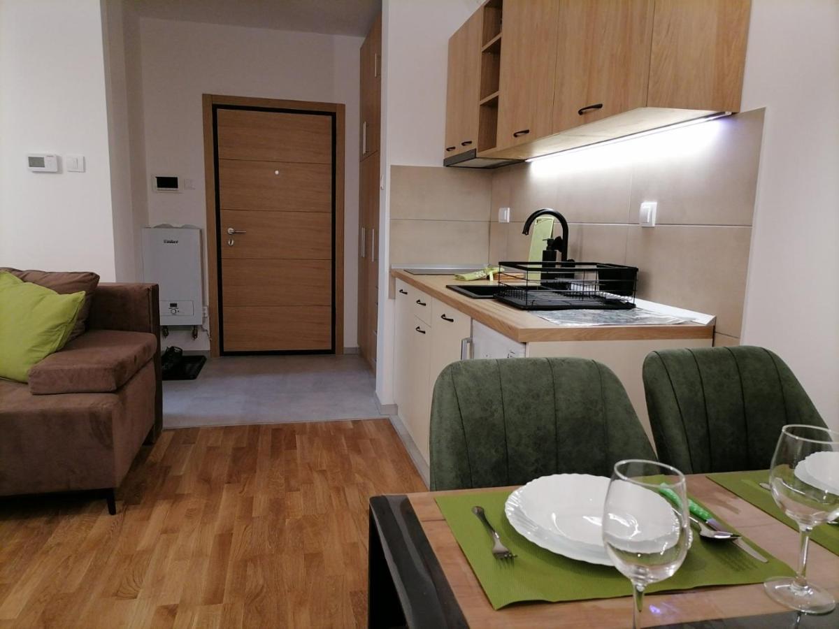Apartman Pahuljica Tara 卡鲁德杰尔斯科巴尔 外观 照片