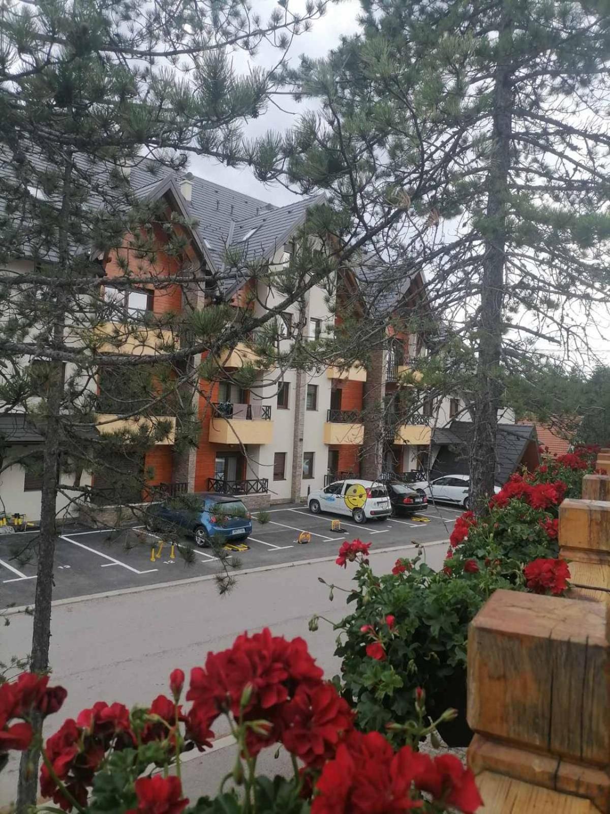 Apartman Pahuljica Tara 卡鲁德杰尔斯科巴尔 外观 照片
